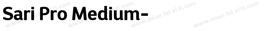 Sari Pro Medium字体转换